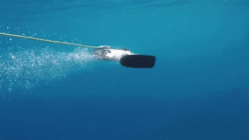 подводный дрон тридер